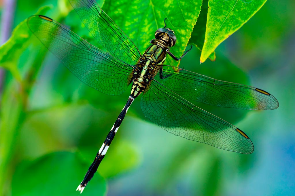 Biología y Geología